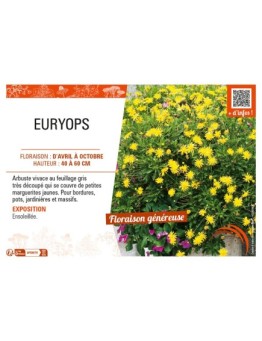 EURYOPS