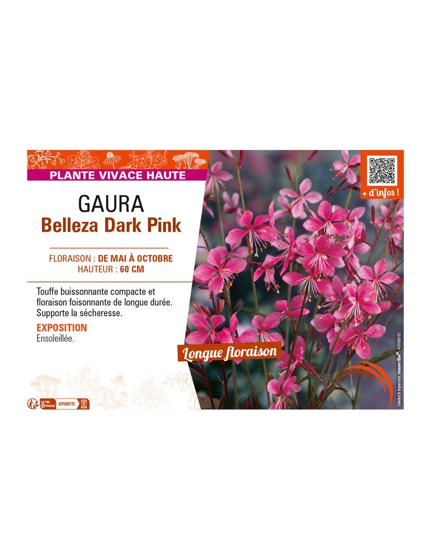 GAURA BELLEZA DARK PINK