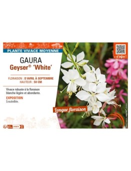 GAURA GEYSER® WHITE
