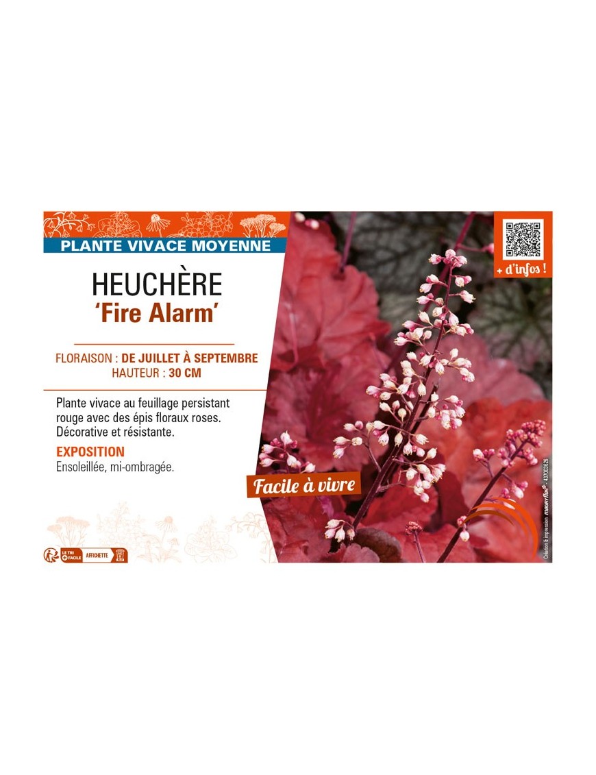 HEUCHERA Fire Alarm