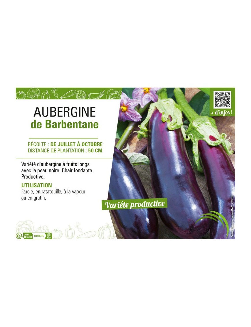 AUBERGINE DE BARBENTANE