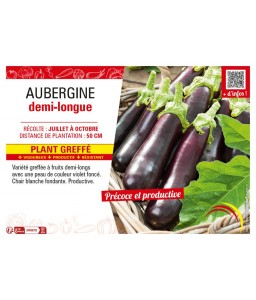 AUBERGINE DEMI-LONGUE Plant greffé