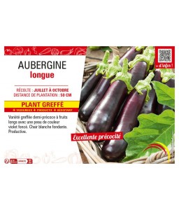 AUBERGINE LONGUE Plant greffé