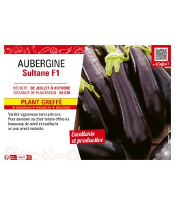 AUBERGINE SULTANE F1 Plant...