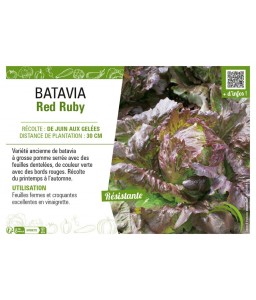 BATAVIA RED RUBY