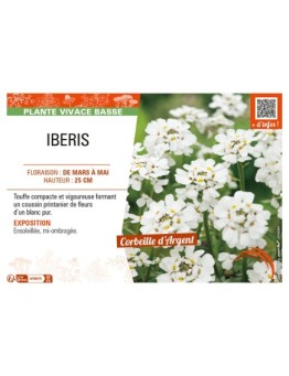 IBERIS