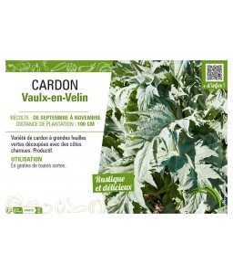 CARDON VAULX-EN-VELIN