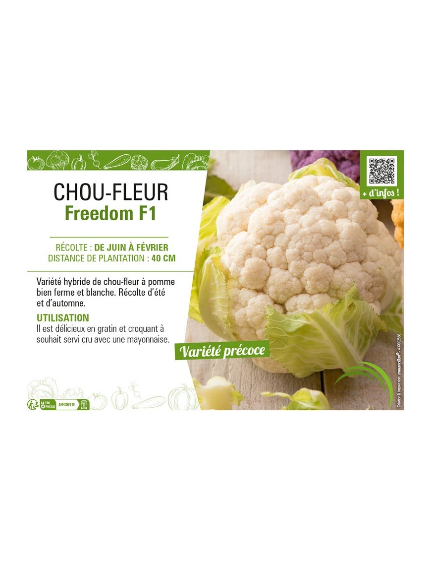 CHOU-FLEUR FREEDOM F1