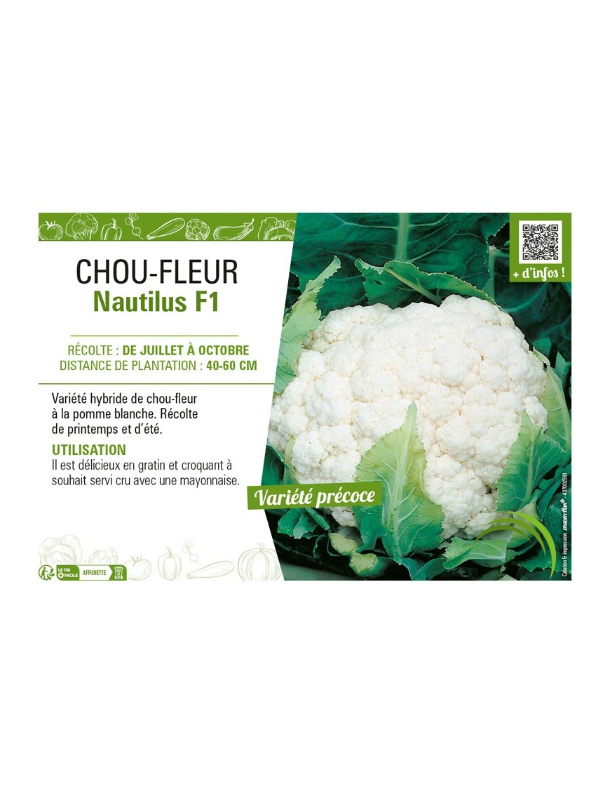 CHOU-FLEUR NAUTILUS F1