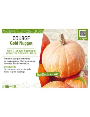 COURGE GOLD NUGGET