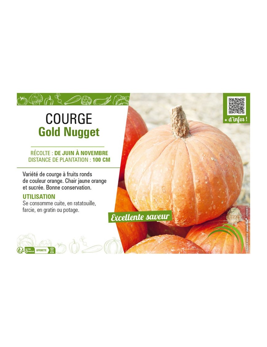 COURGE GOLD NUGGET