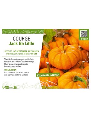 COURGE JACK BE LITTLE