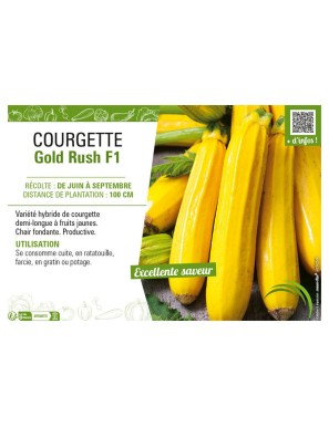 COURGETTE (JAUNE) GOLD RUSH F1
