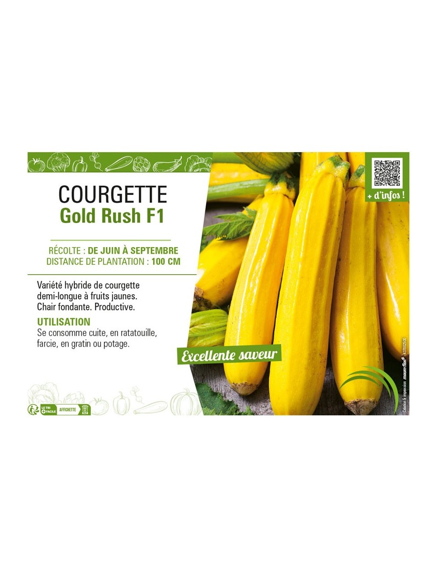 COURGETTE (JAUNE) GOLD RUSH F1