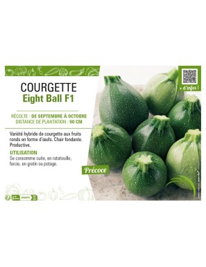 COURGETTE (RONDE) EIGHT BALL F1
