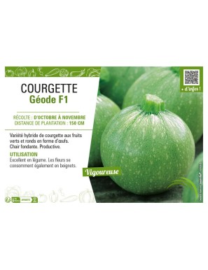 COURGETTE (RONDE) GÉODE F1