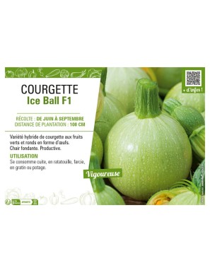 COURGETTE (RONDE) ICE BALL F1