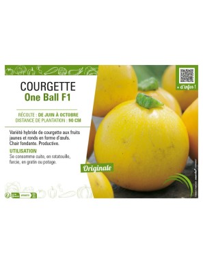 COURGETTE (RONDE) ONE BALL F1