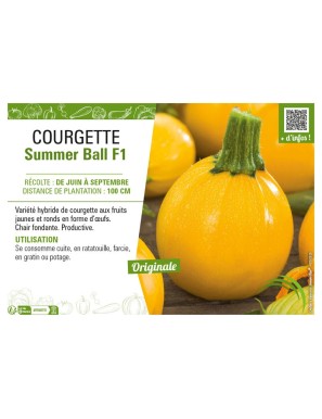 COURGETTE (RONDE) SUMMER BALL F1