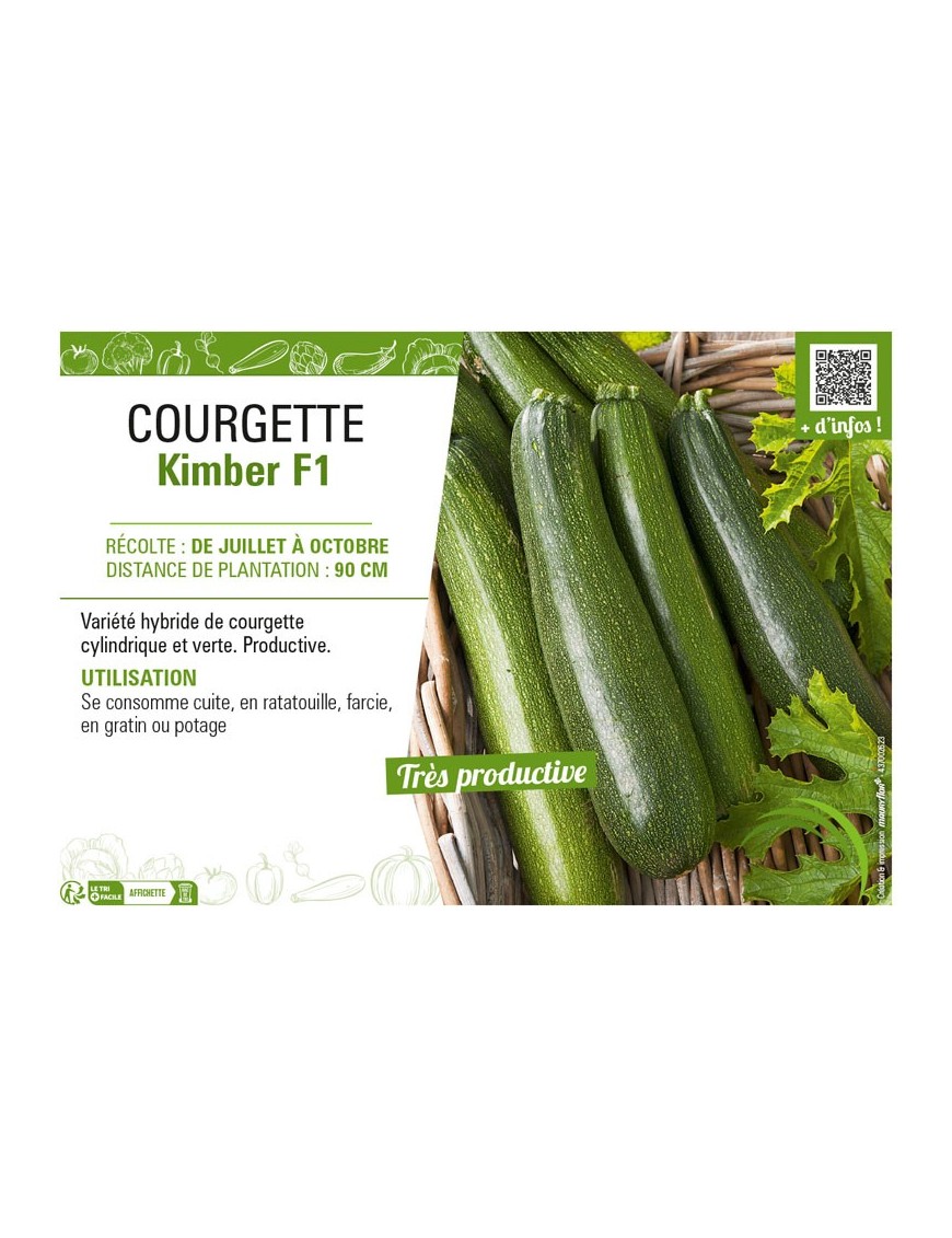 COURGETTE KIMBER F1