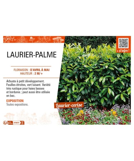 LAURIER-PALME