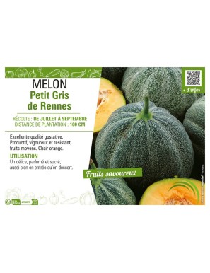 MELON PETIT GRIS DE RENNES