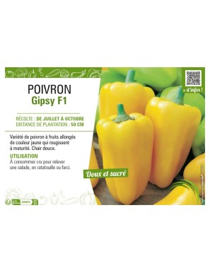 POIVRON (DOUX) GYPSY F1