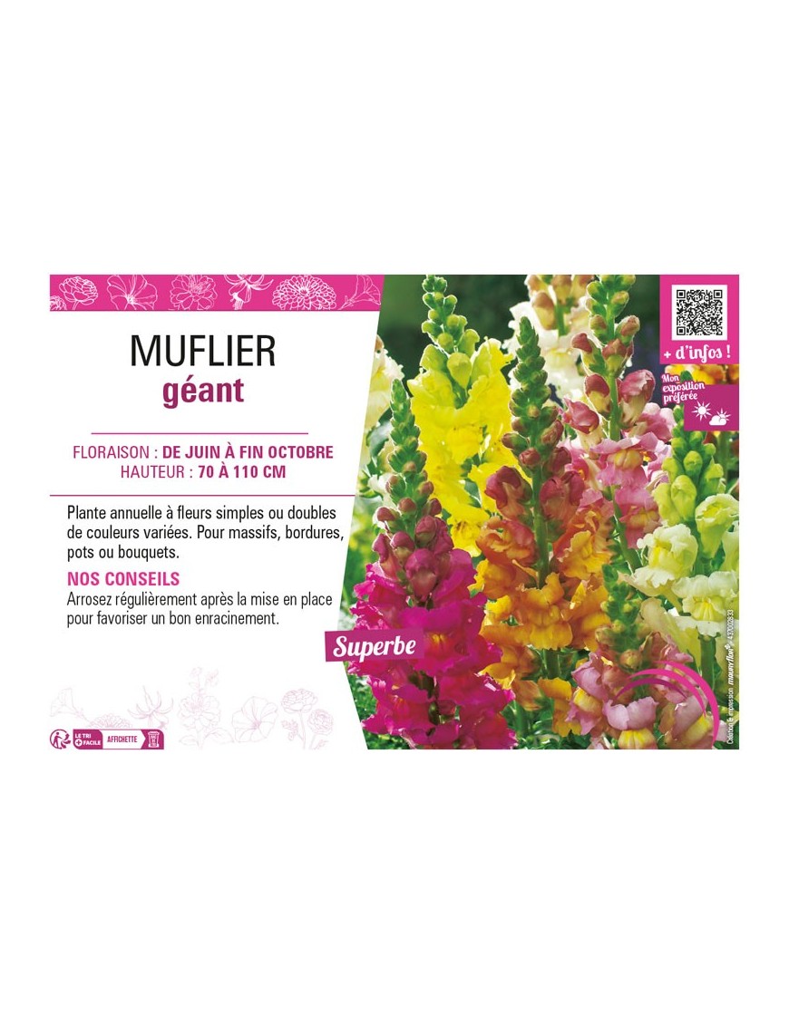 MUFLIER GÉANT (varié)