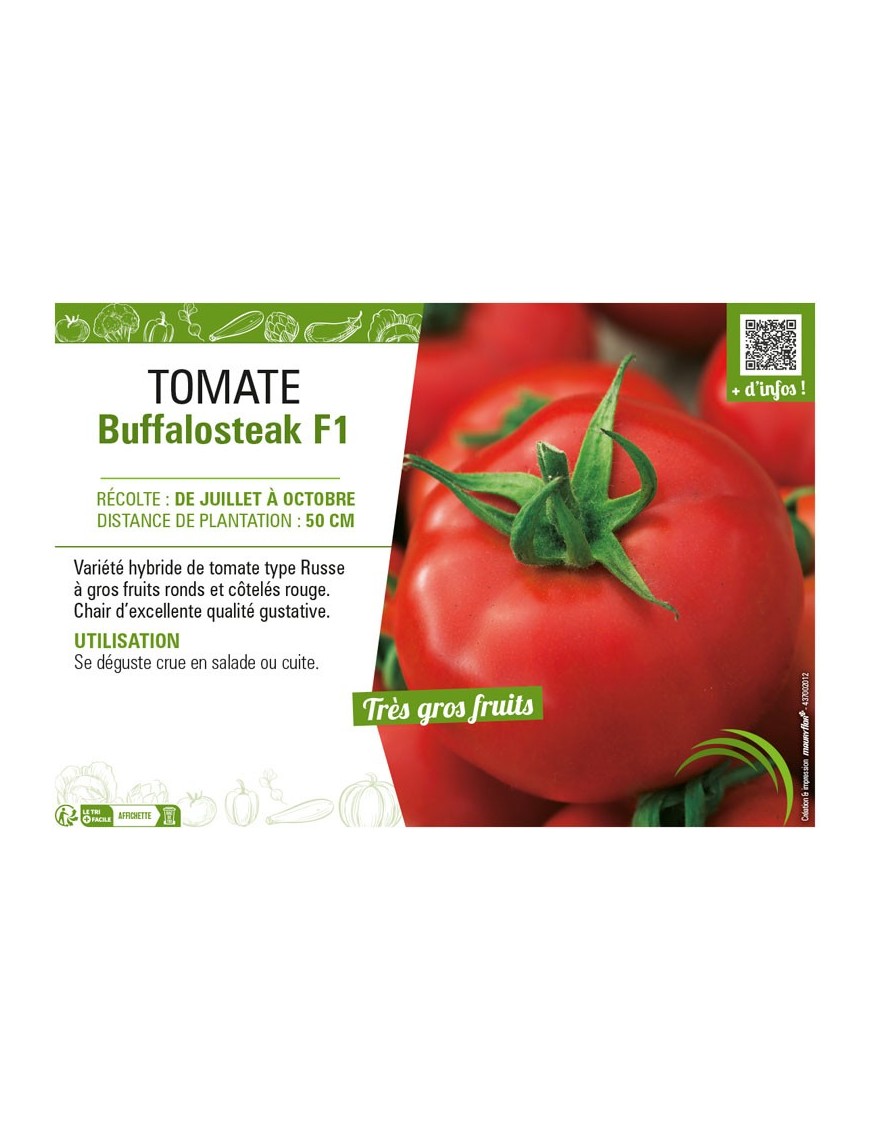 TOMATE BUFFALOSTEACK F1