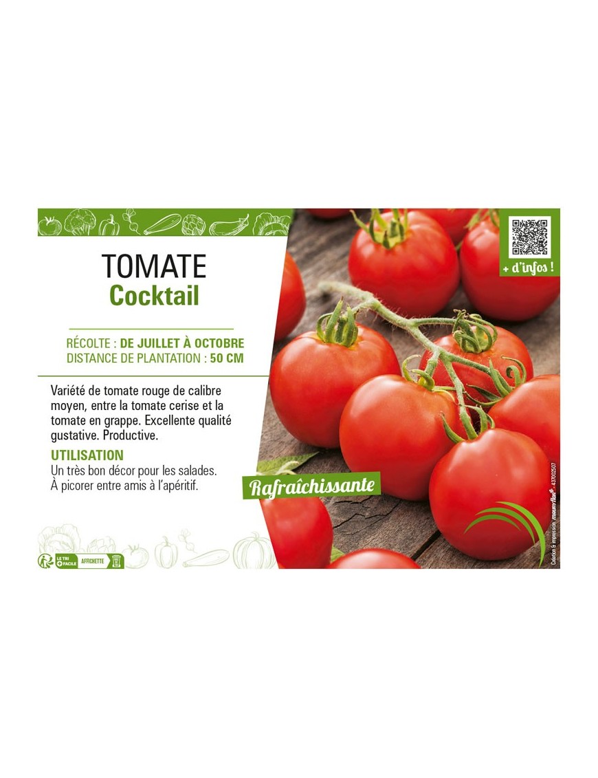 TOMATE COCKTAIL
