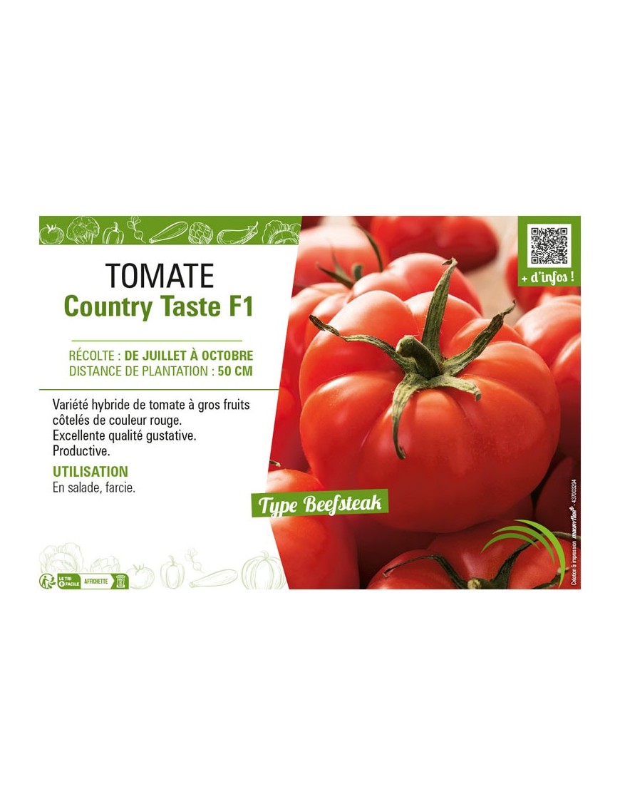 TOMATE COUNTRY TASTE F1