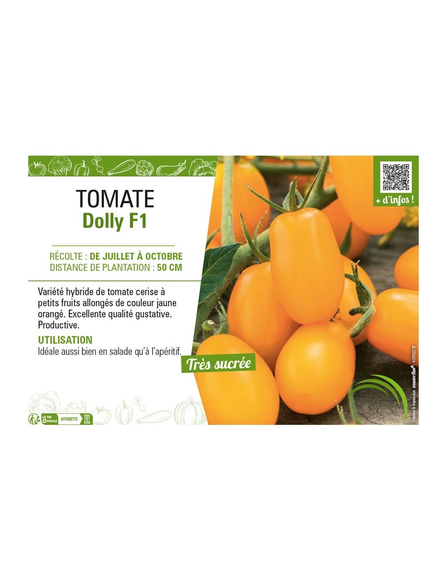 TOMATE DOLLY F1