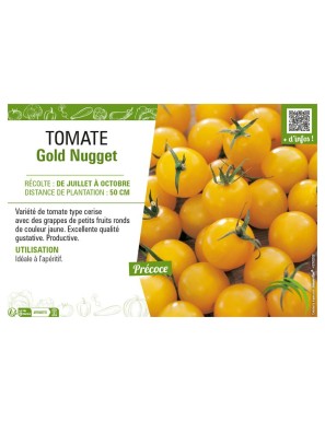 TOMATE GOLD NUGGET