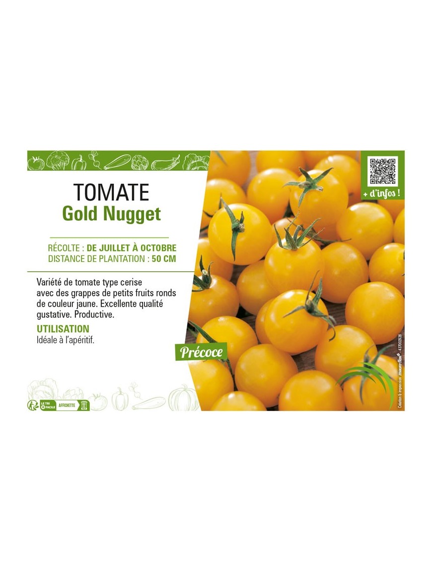 TOMATE GOLD NUGGET