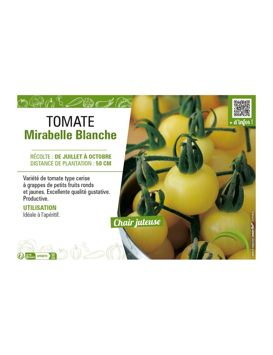 TOMATE MIRABELLE BLANCHE