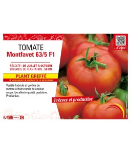 TOMATE MONTFAVET 63/5 F1 plant greffé
