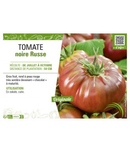 TOMATE NOIRE RUSSE