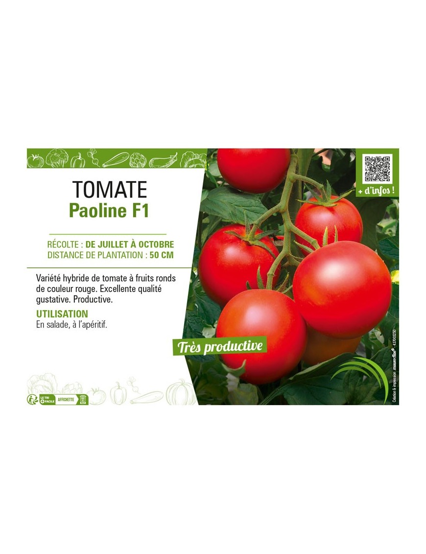 TOMATE PAOLINE F1