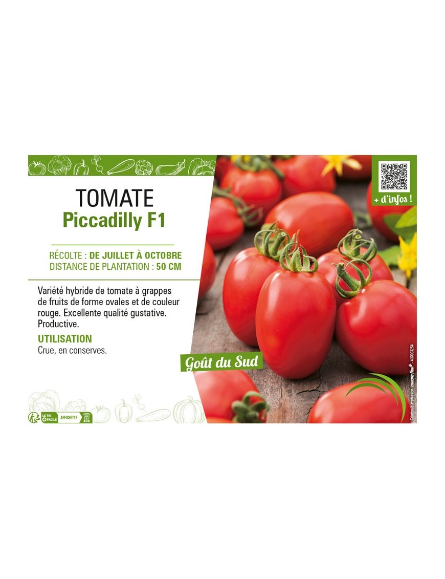 TOMATE PICCADILLY F1