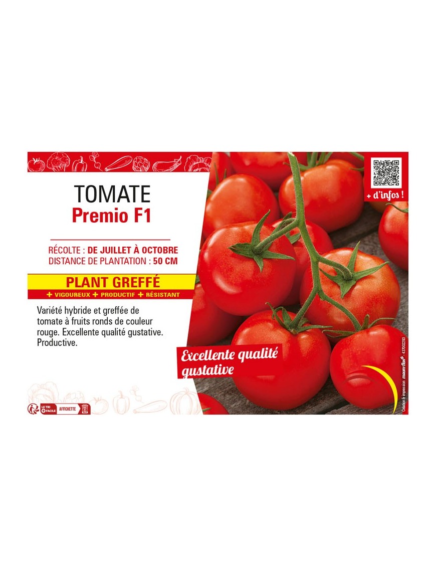 TOMATE PREMIO F1 plant greffé