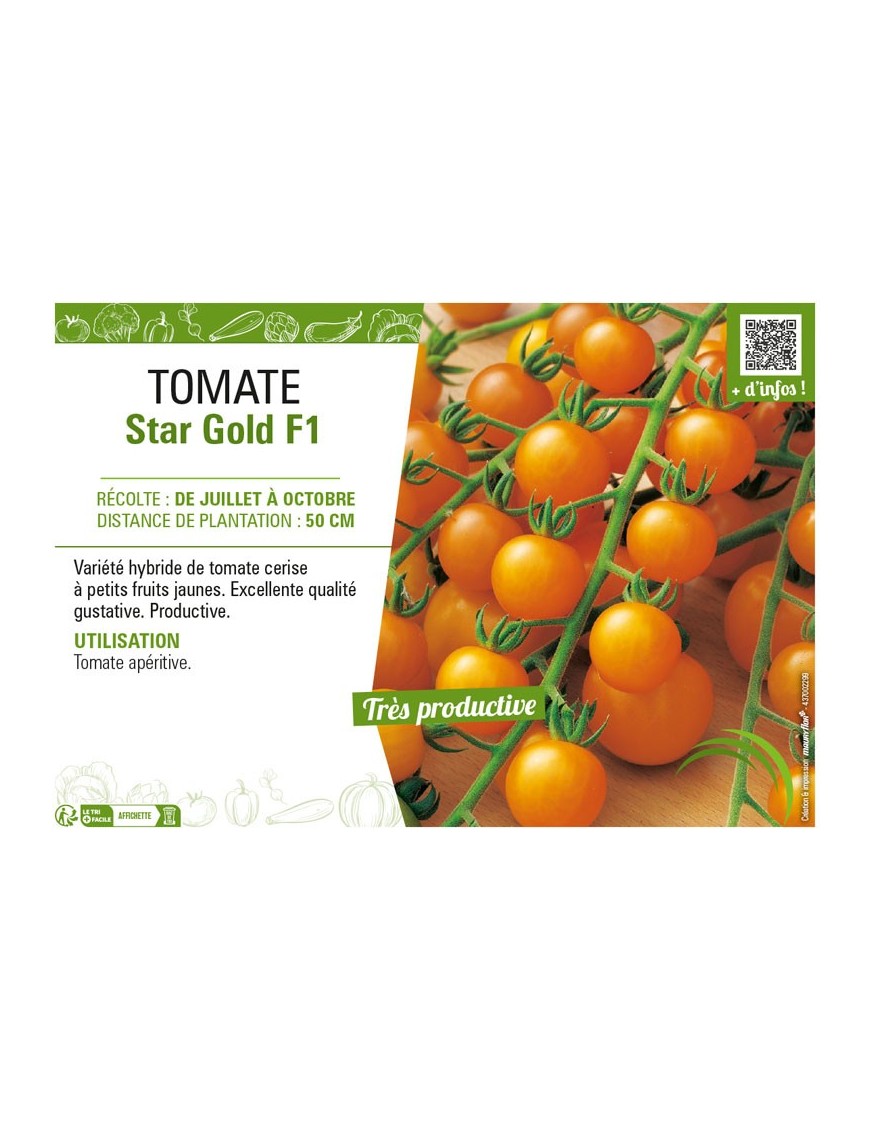 TOMATE STAR GOLD F1