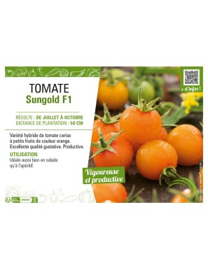TOMATE SUNGOLD F1