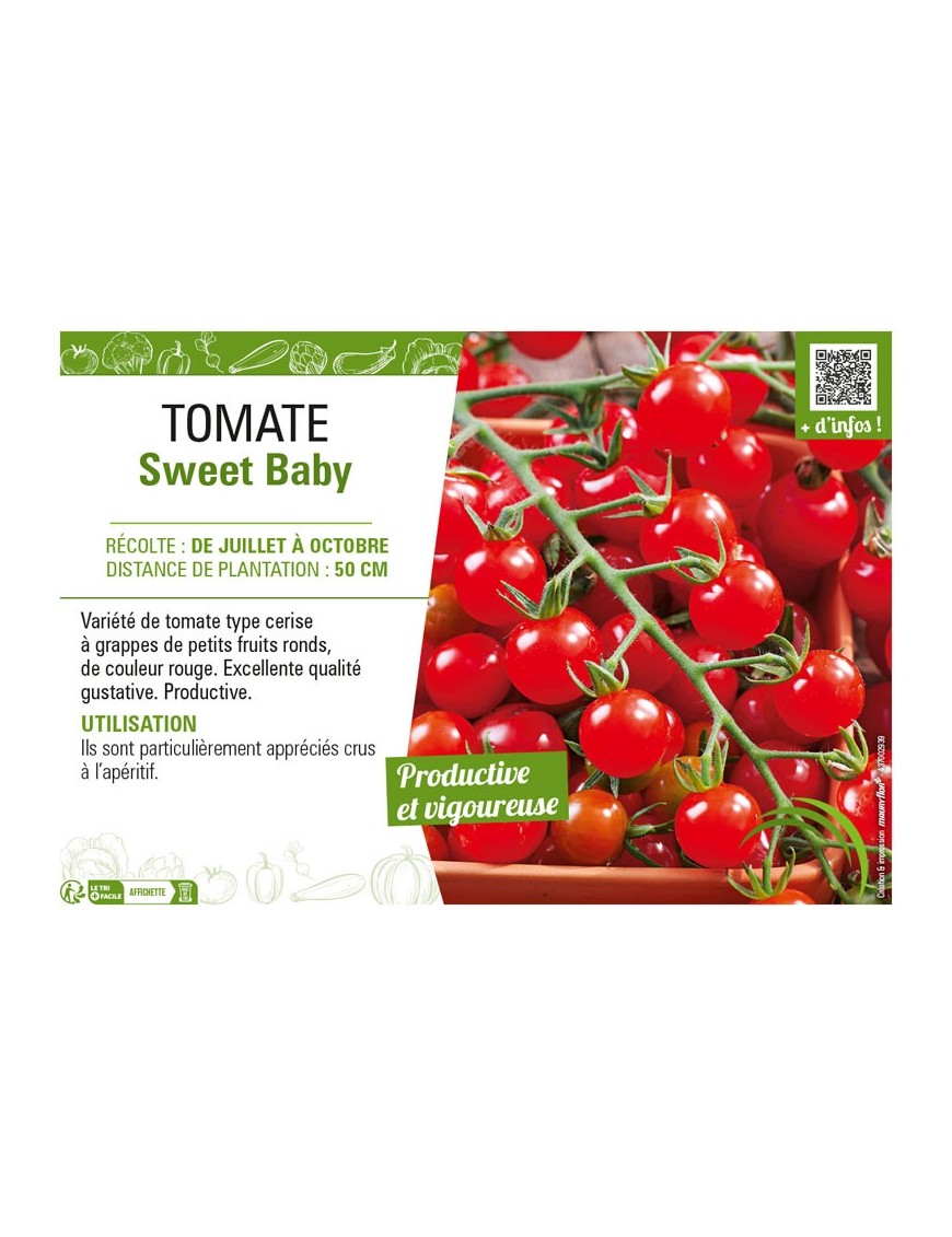 TOMATE SWEET BABY