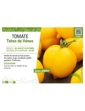 TOMATE TÉTON DE VENUS