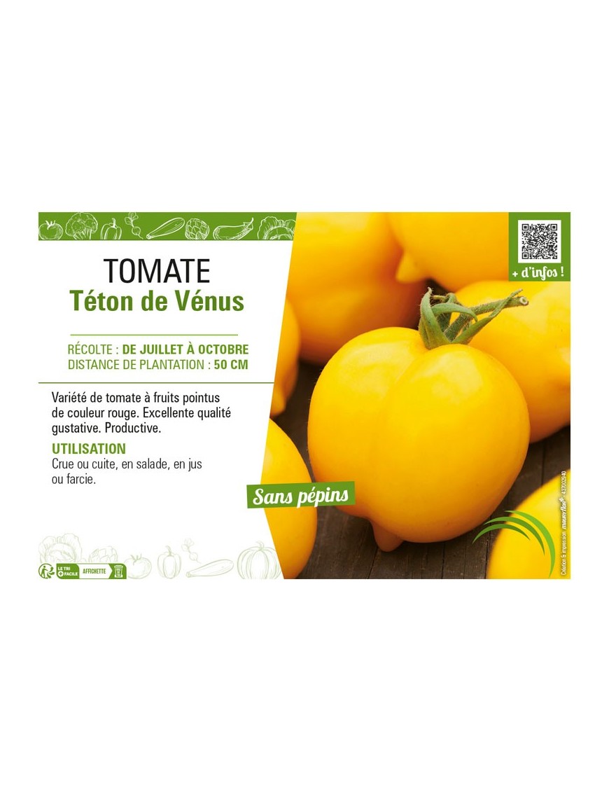 TOMATE TÉTON DE VENUS
