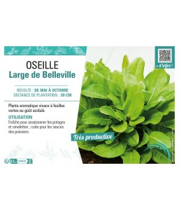 OSEILLE LARGE DE BELLEVILLE