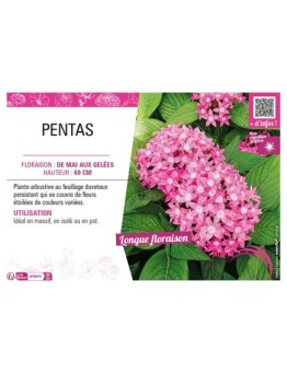 PENTAS