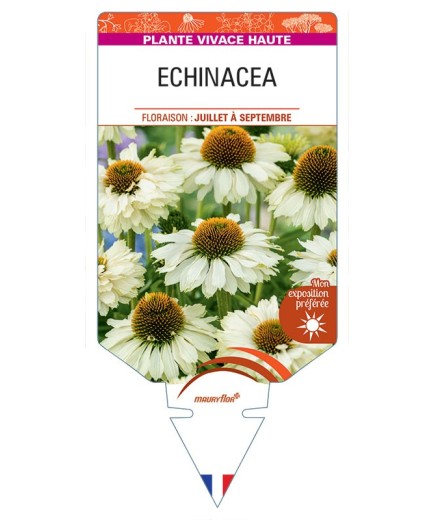 ECHINACEA (crème)