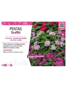 PENTAS GRAFFITI
