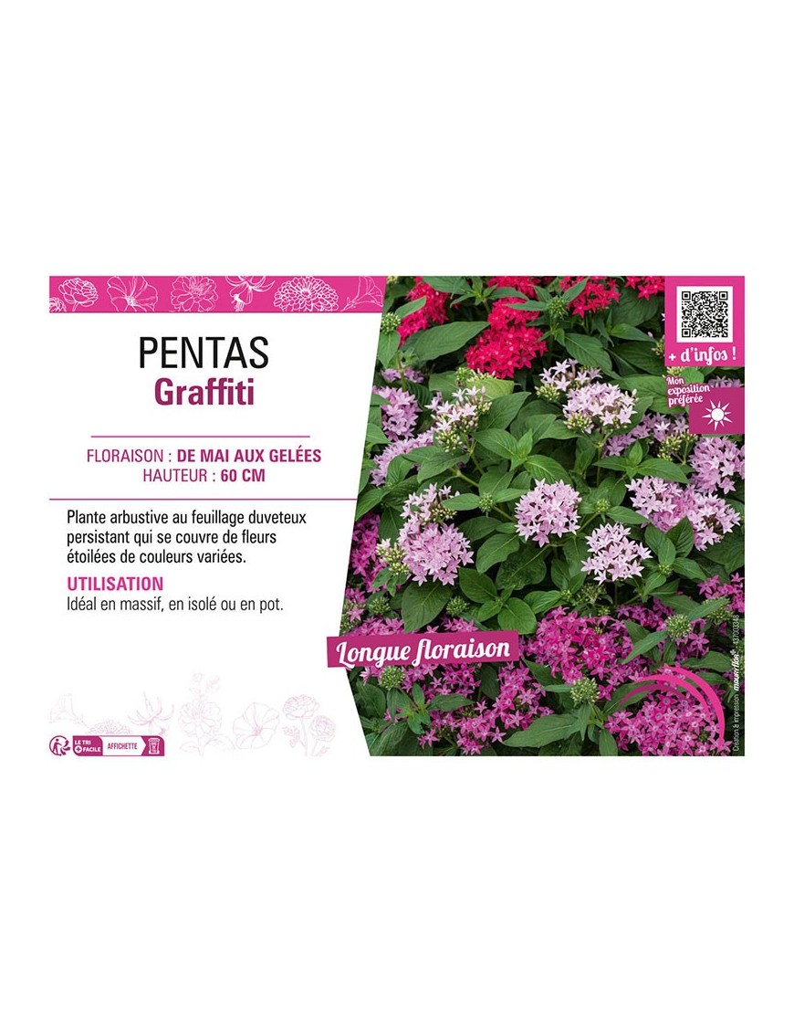 PENTAS GRAFFITI